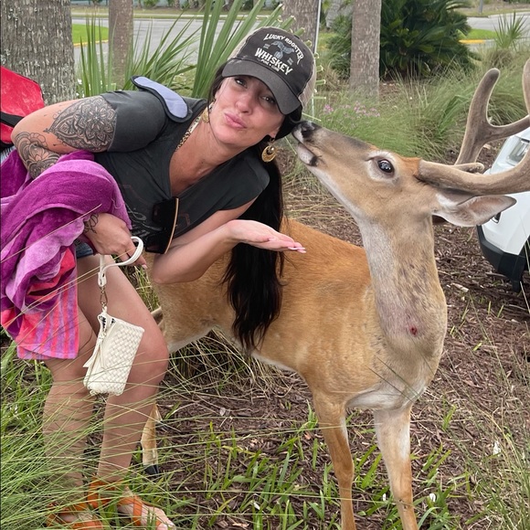 Meet your Posher, Abigail - Picture 4 of 6